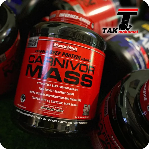 گینر کارنیوار مس ماسل مدز