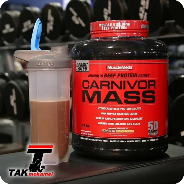 گینر ماسل مدز