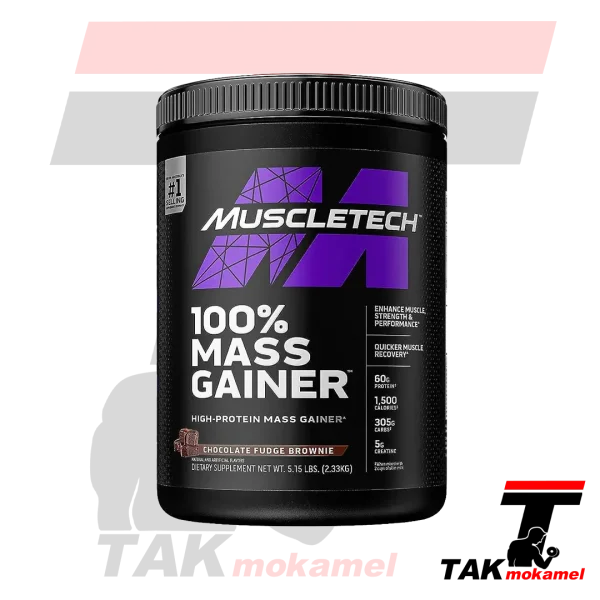 مس گینر ماسل تک