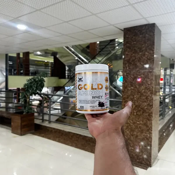 آمینو وی گلد وایکینگ فورس 450 گرمی اصل | GOLD AMINO WHEY Viking