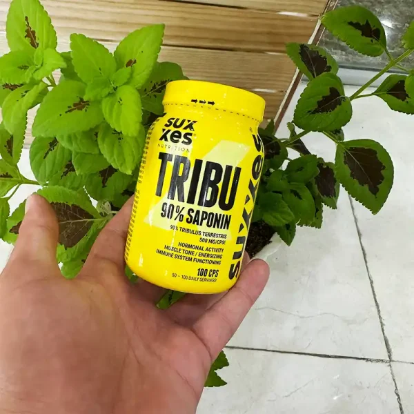 تریبولوس ترستریس ساکس 100 کپسولی | Tribulus Terrestris Saks 90 % SAPONIN