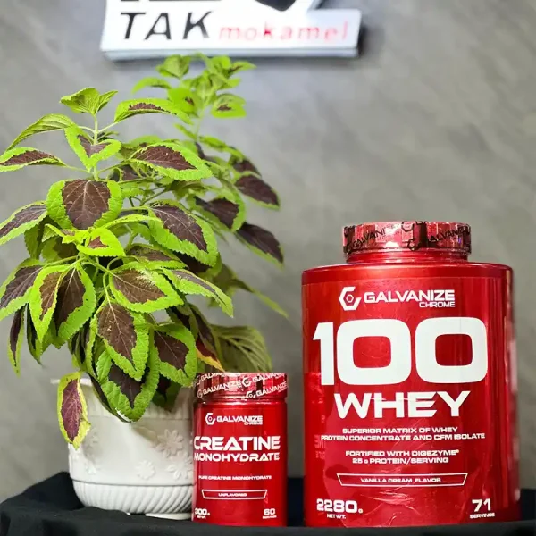 پروتئین وی گالوانایز 2280 گرمی